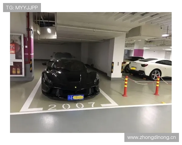 看到拉菲尼亚车库那排跑车，我的银行卡默默申请了辞职